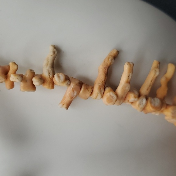 Authentic Vintage branch Angel skin coral spike necklace N3313‎